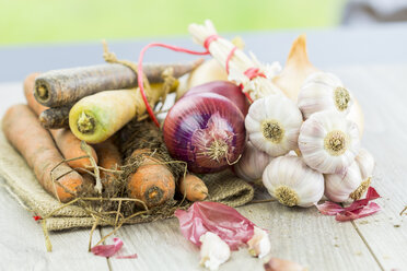 Verschiedene Arten von Bio-Karotten, roten und weißen Zwiebeln und Knoblauch - JUNF000237