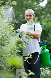 Mann, der Pflanzenschutzmittel im Garten versprüht - WESTF021153