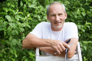 Porträt eines Mannes mit Gartenschere, der auf einer Leiter im Garten steht - WESTF021159