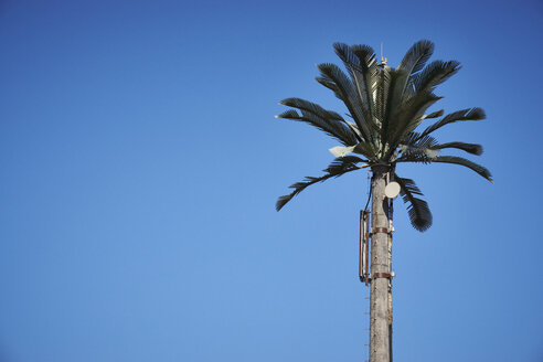 Ägypten, El Gouna, Zellstandort in Form einer Palme - STKF001201