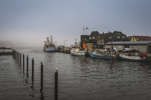 Deutschland, Schleswig-Holstein, Eckernförde, Fischerboote im Hafen, dunkles Wetter - FRF000209