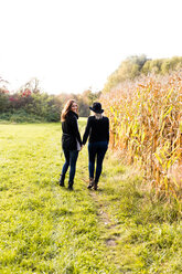 Lesbian couple walking hand in hand on a meadow - DAWF000297