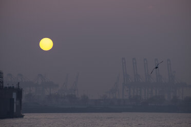 Deutschland, Hamburg, Sonnenuntergang am Containerhafen - HLF000847