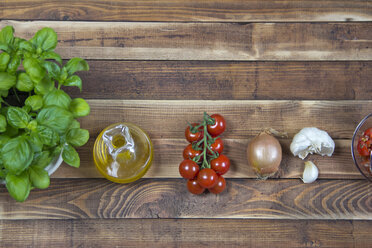 Basil, olive oil, vine tomatoes, onion, garlic - YFF000326
