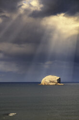 UK, Schottland, East Lothian, Bass Rock mit einer Kolonie von Basstölpeln - SMA000311