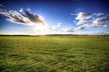 UK, Scotland, East Lothian, field at sunset - SMAF000314