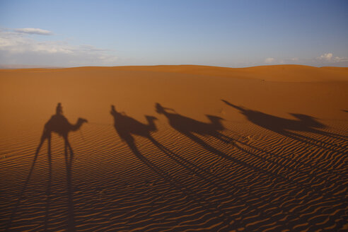 Marokko, Sahara, Schatten der Kamele in der Wüste - STDF000134