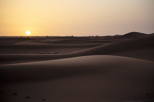 Marokko, Sahara, Sonnenaufgang - STDF000171