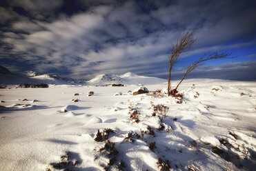 Großbritannien, Schottland, Rannoch Moor im Winter - SMAF000373
