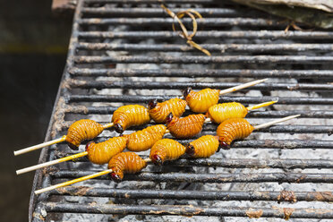 Ecuador, Puerto Francisco de Orellana, gegrillte Larve eines Rüsselkäfers - FOF007744