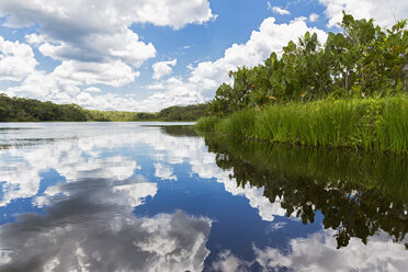 Ecuador, Amazon River region, Lake Pilchicocha - FOF007753