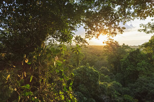 Ecuador, Amazonasgebiet, Baumkronen im Regenwald - FOF007765