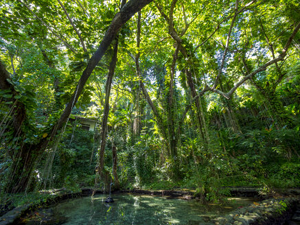 Jamaika, Port Antonio, Blaue Lagune - AMF003876