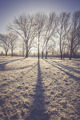 Germany, Landshut, frost-covered flood channel at backlight - SARF001445