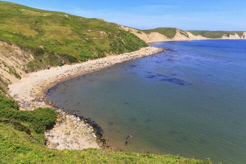 USA, Kalifornien, Marin County, Point Reyes National Seashore, Blick auf Strand mit Seeelefanten - FOF007776