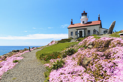 USA, Kalifornien, Pazifikküste, Crescent City, Battery Point Light - FOF007798