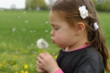 Germany, little girl blowing blowball - LBF001077