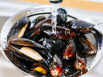 Blue mussels in strainer getting washed - KRPF001344