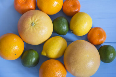 Oranges, limes, lemons, grapefruits and tangerines on blue ground - YFF000335