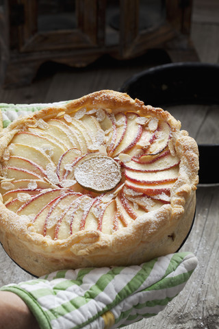 Gebackener Apfelkuchen mit Puderzucker bestreut, lizenzfreies Stockfoto