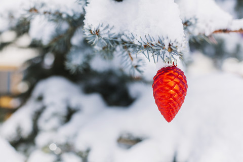 Kegelförmige Christbaumkugel am immergrünen Baum, lizenzfreies Stockfoto