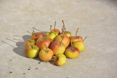 Wild apples on a stone slab in sunlight - AXF000751