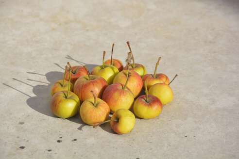 Wildäpfel auf einer Steinplatte im Sonnenlicht - AXF000751