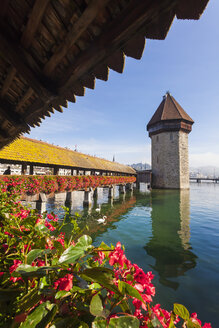 Schweiz, Kanton Luzern, Luzern, Fluss Reuss, Kapellbrücke und Wasserturm - WDF002956