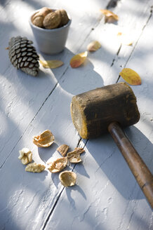 Cracked walnut and wooden hammer - GIS000064