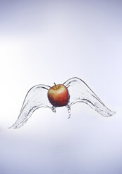 Red apple with angel wings of water - KSWF001428