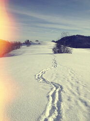 Germany, Baden-Wurttemberg, Swabian Alb, Winter morning - LVF003017