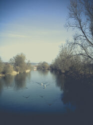 Germany, Baden-Wurttemberg, Swabian Alb, Neckar river near Rottenburg - LVF003018