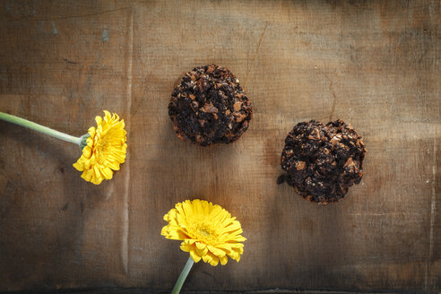 Selbstgemachte Schokoladenmuffins und gelbe Gerbera-Blüten - EVGF001462