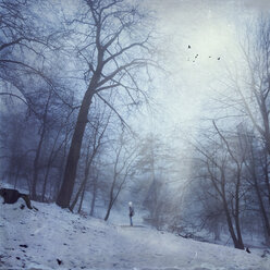 Germany, near Wuppertal, man standing on forest track in winter, light beams and birds, textured effect - DWI000445