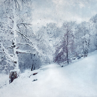 Germany, near Wuppertal, winter landscape, textured effect - DWI000450