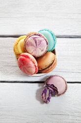 Bunte Macarons in Schale und auf Holz - CSF024863