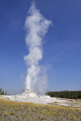 USA, Wyoming, Yellowstone-Nationalpark, Ausbruch des Castle-Geysirs - RUEF001538