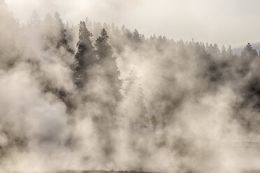 USA, Wyoming, Yellowstone National Park, Firehole Lake Drive, steam from hot springs rising - RUEF001545