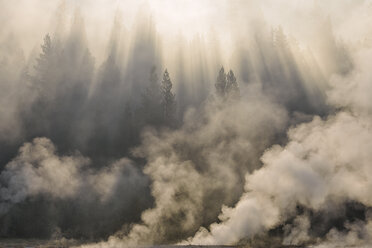 USA, Wyoming, Yellowstone-Nationalpark, Dampf aus heißen Thermalquellen steigt im Wald in der Nähe des Firehole River am Morgen auf - RUEF001558