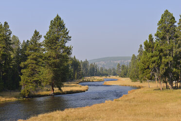 USA, Wyoming, Yellowstone-Nationalpark, Nez Perce Creek im Herbst - RUEF001559