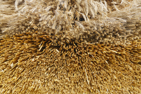 Österreich, Burgenland, Detail eines Strohdachs im Freilichtmuseum Bad Tatzmanndorf - SIEF006512