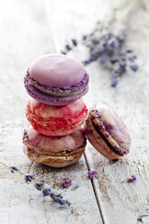 Vier Macarons und Lavendel auf Holz - CSF024875