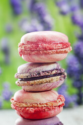 Stapel von Macarons - CSF024877