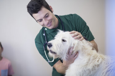 Tierarzt bei der Untersuchung eines Hundes - ZEF004452