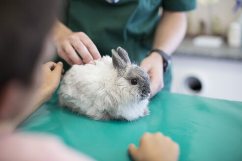 Junge beim Tierarzt mit einem Kaninchen auf dem Untersuchungstisch - ZEF004458