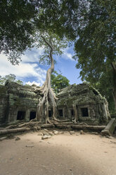 Kambodscha, Siem Reap, Angkor Wat, Ta Prohm-Tempel - NNF000217