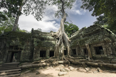 Kambodscha, Siem Reap, Angkor Wat, Ta Prohm-Tempel - NNF000225