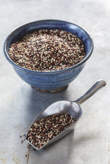 Schale und Metallschaufel mit ungekochten Quinoa Tricolor-Körnern - EVGF001369