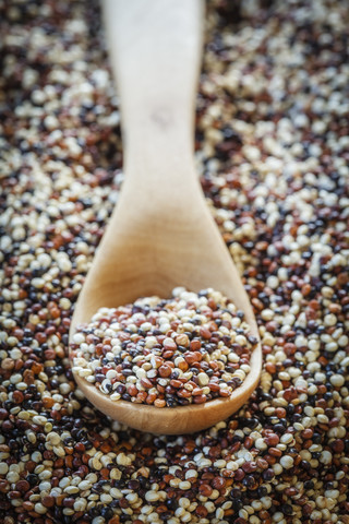 Holzlöffel ungekochte Quinoa tricolor Körner, lizenzfreies Stockfoto