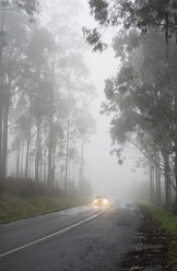 Spain, Galicia, Coruna, driving car on country road in the fog - RAEF000078